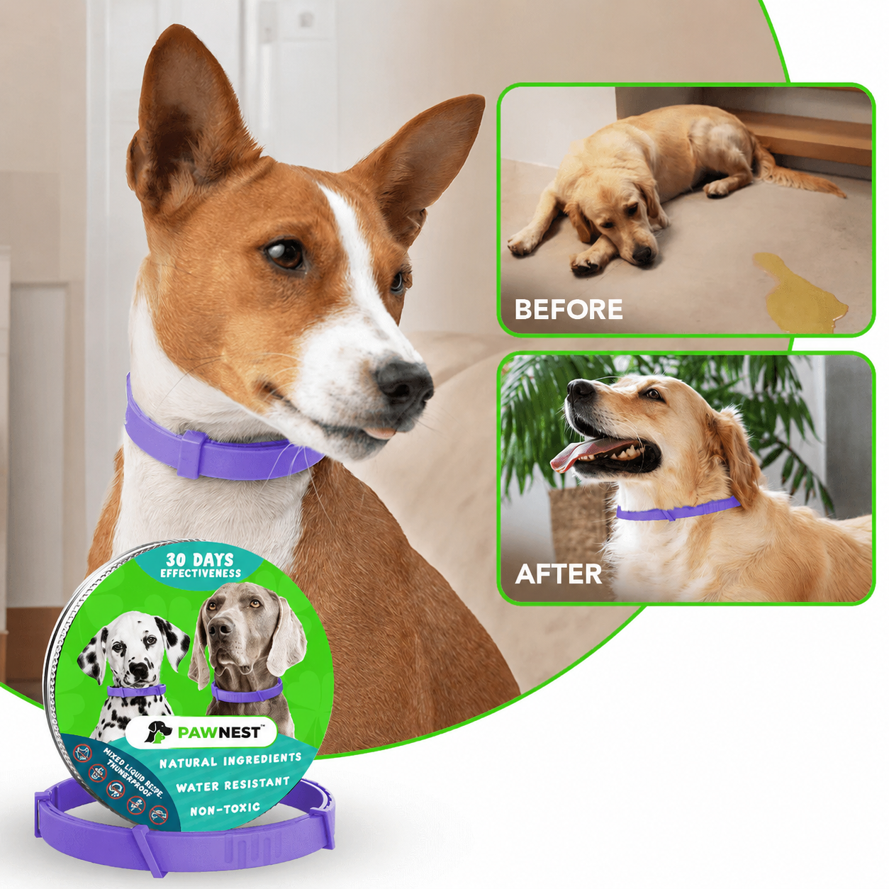 PawNest™ - Natural Pheromone Calming Collar for Dogs