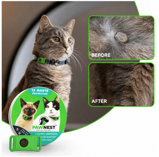 PawNest™ - 12 Months All Natural Flea and Tick Tags for Cats