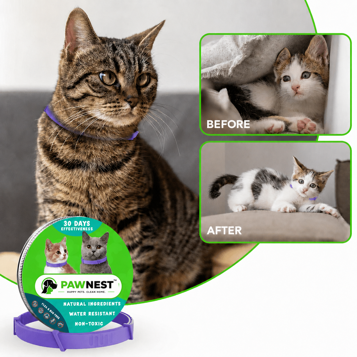 PawNest™ - Natural Pheromone Calming Collar for Cats