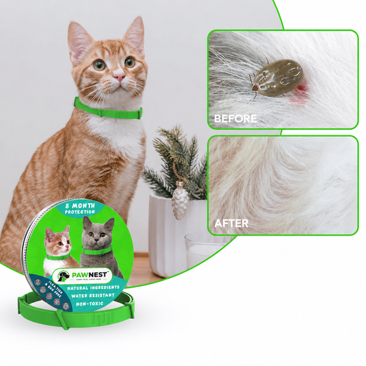 PawNest™ 8-Month Flea & Tick Collar for Cats