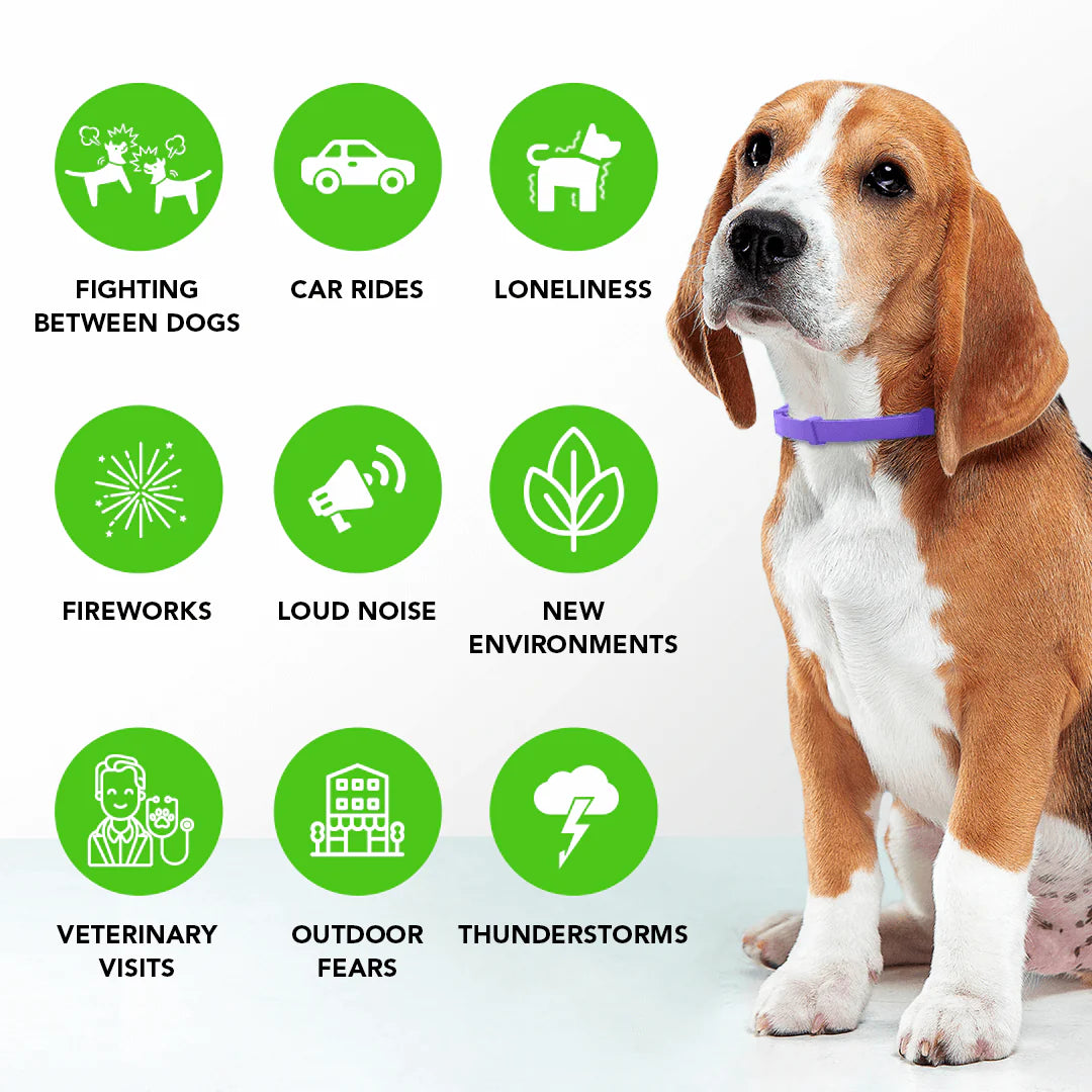 PawNest™ - Natural Pheromone Calming Collar for Dogs