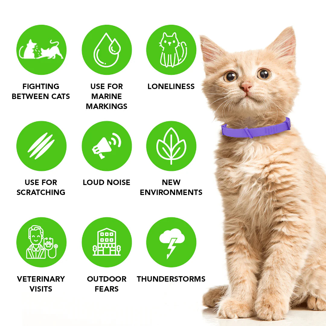 PawNest™ - Natural Pheromone Calming Collar for Cats