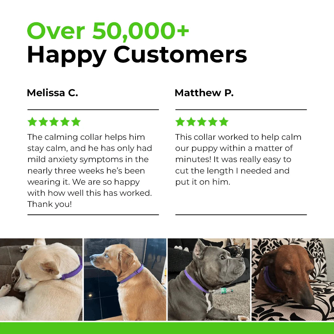 PawNest™ - Natural Pheromone Calming Collar for Dogs