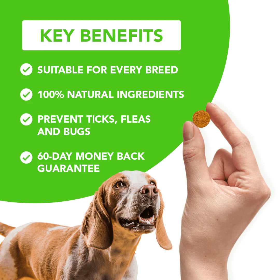 PawNest™ - Flea & Tick Defense Chews