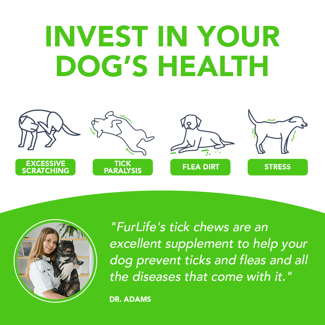 PawNest™ - Flea & Tick Defense Chews
