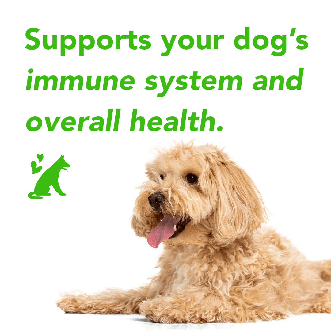 PawNest™ - Flea & Tick Defense Chews