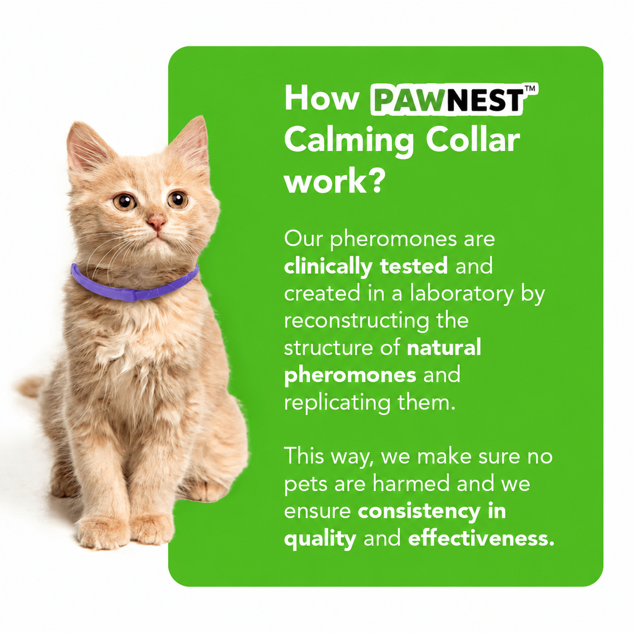 PawNest™ - Natural Pheromone Calming Collar for Cats
