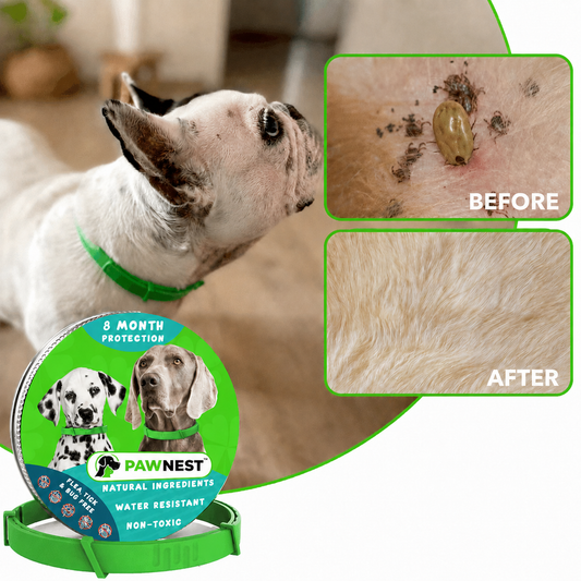 PawNest™ - 8 Months All Natural Flea and Tick Collar for Dogs